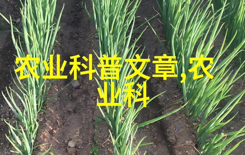 冬春棚室蔬菜谨防谨防弱光症-