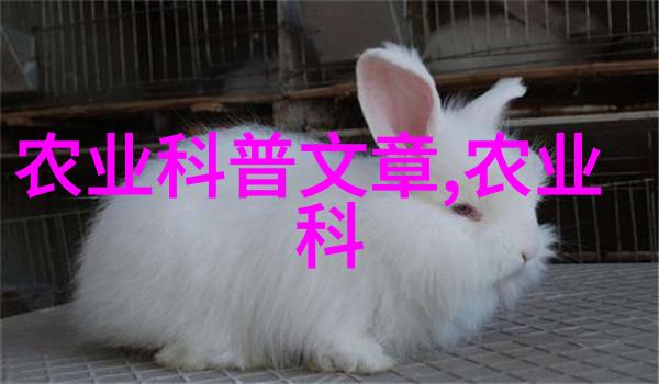花生生育后期防早落叶-