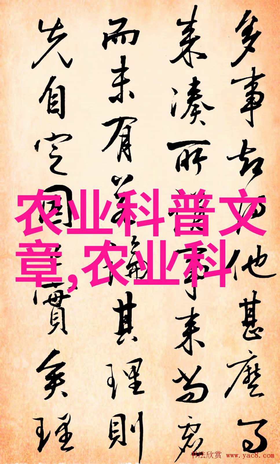沼肥种西瓜技术-