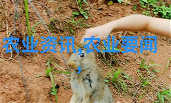人民日报署名文章盛世莲花谱华章引领具有澳门特色的一国两制实践取得举世瞩目成就