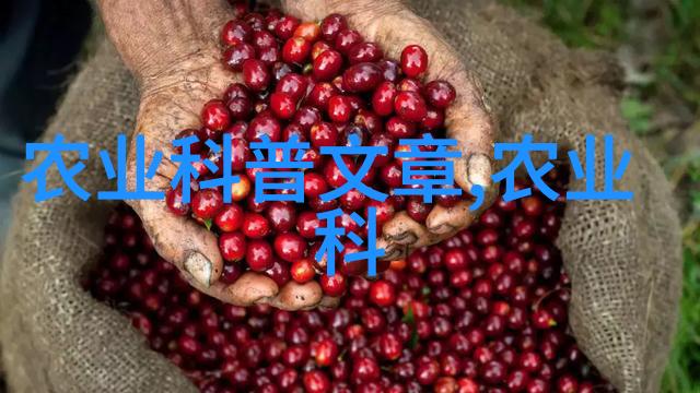 早稻出现僵苗该如何处理-