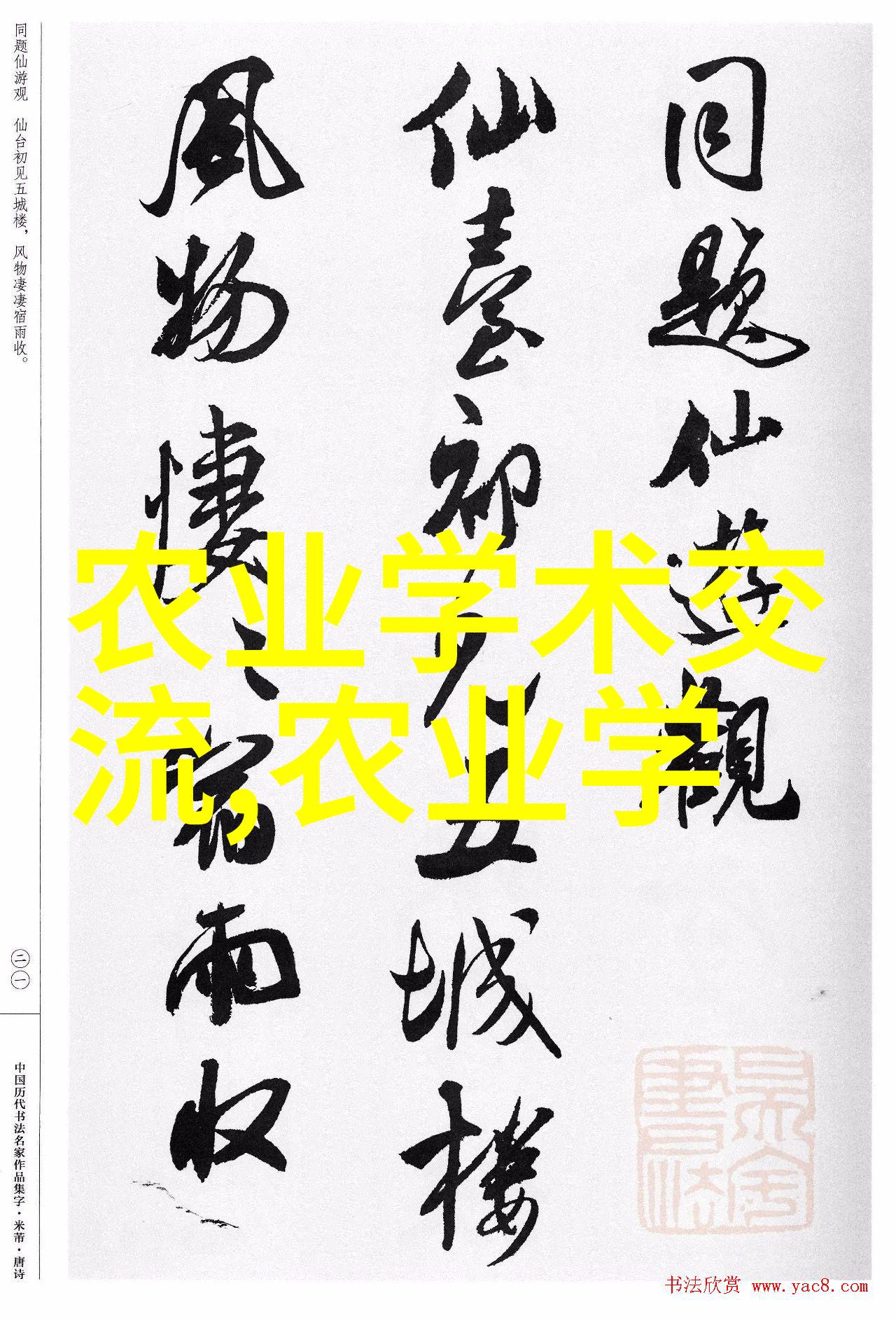 一季度粮食进口有望明显减少 有利于国内粮食价格持续回升