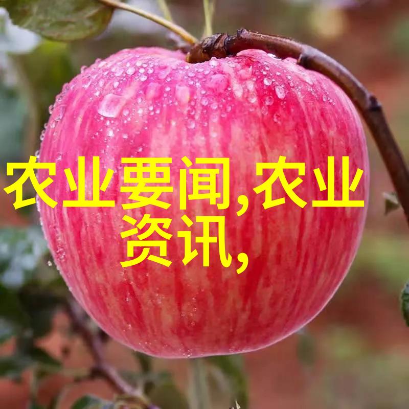 澳门社会各界代表人士